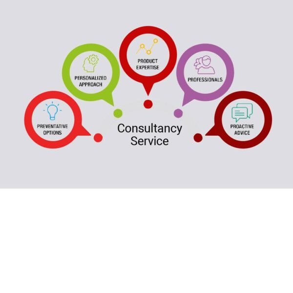 IT Consultancy
